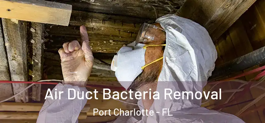 Air Duct Bacteria Removal Port Charlotte - FL