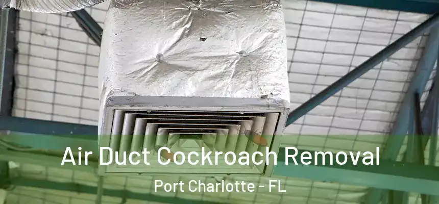 Air Duct Cockroach Removal Port Charlotte - FL