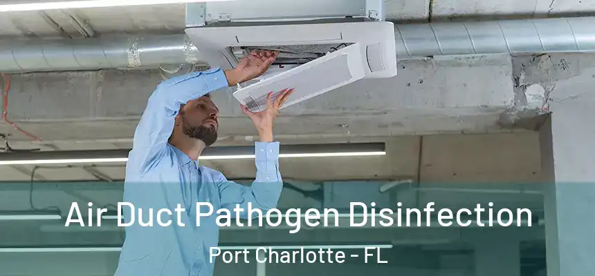 Air Duct Pathogen Disinfection Port Charlotte - FL