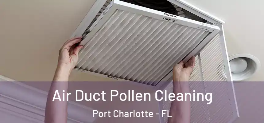 Air Duct Pollen Cleaning Port Charlotte - FL