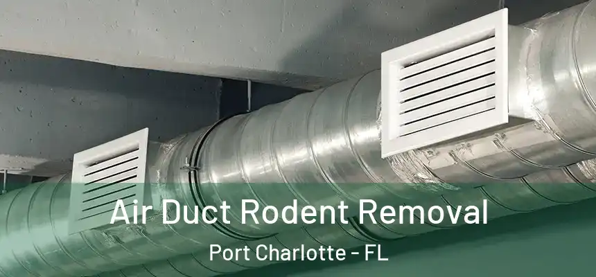 Air Duct Rodent Removal Port Charlotte - FL