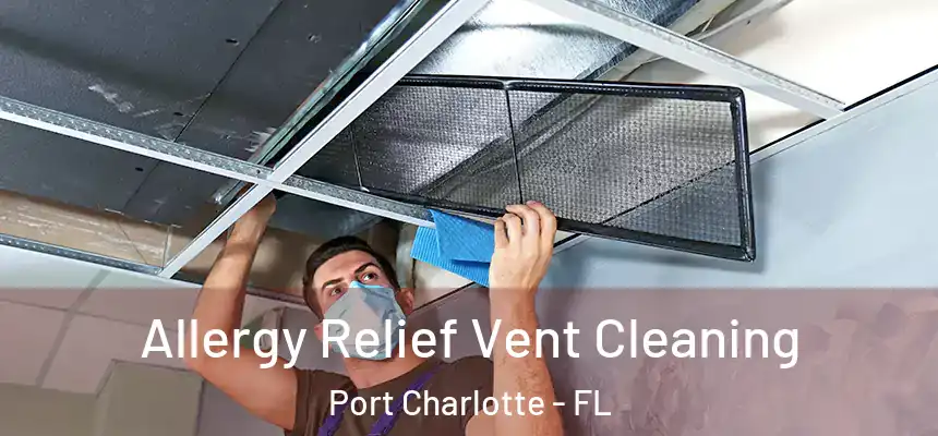 Allergy Relief Vent Cleaning Port Charlotte - FL