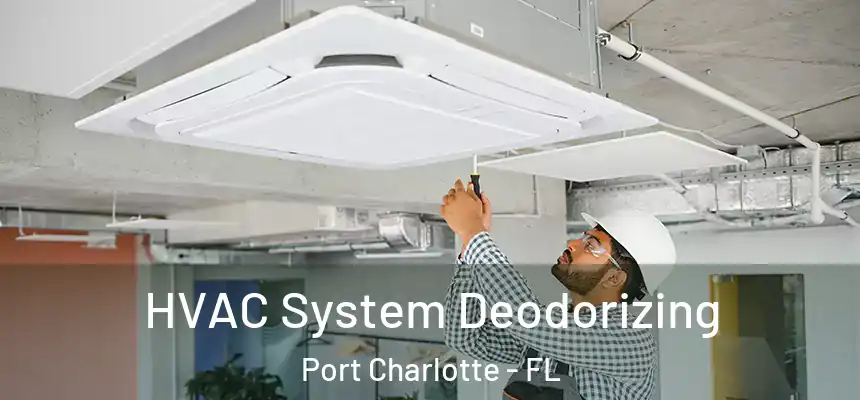HVAC System Deodorizing Port Charlotte - FL