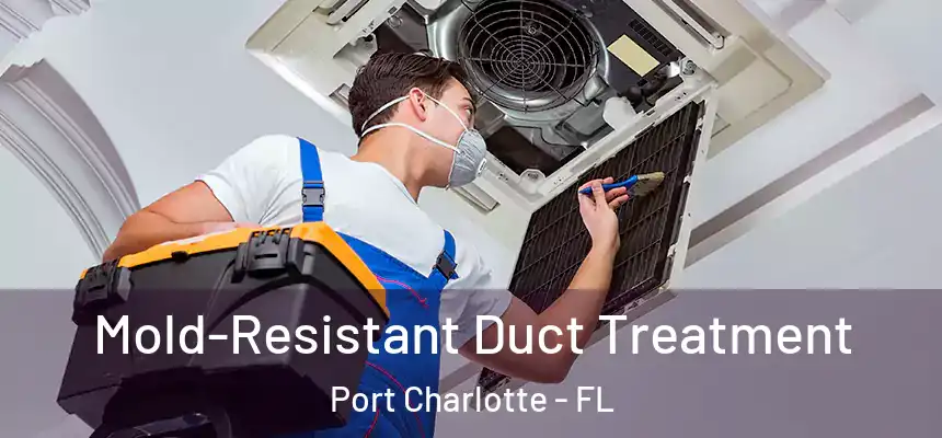 Mold-Resistant Duct Treatment Port Charlotte - FL