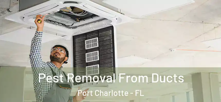 Pest Removal From Ducts Port Charlotte - FL