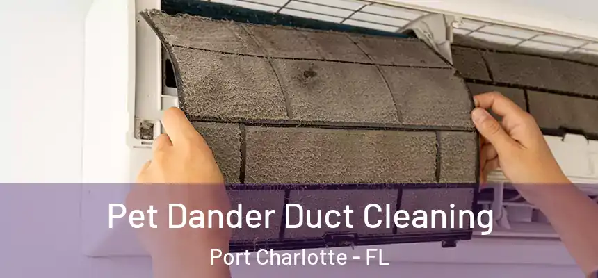 Pet Dander Duct Cleaning Port Charlotte - FL