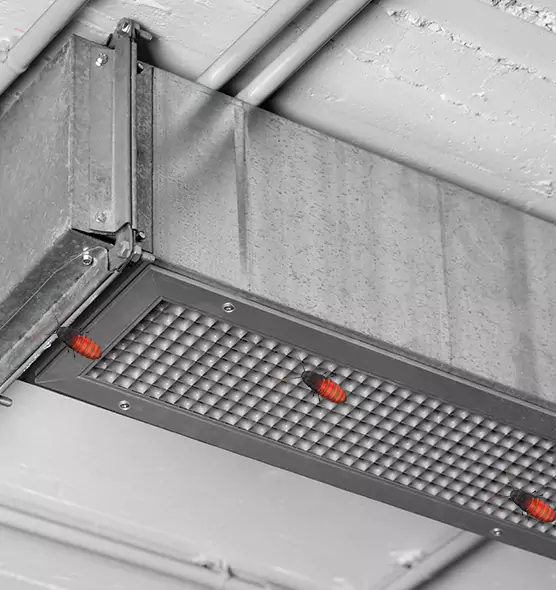 Affordable Insect Removal from Air Ducts in Port Charlotte, FL
