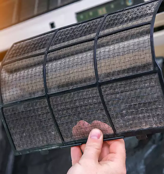 About Pet Dander Duct Cleaning in Port Charlotte, FL